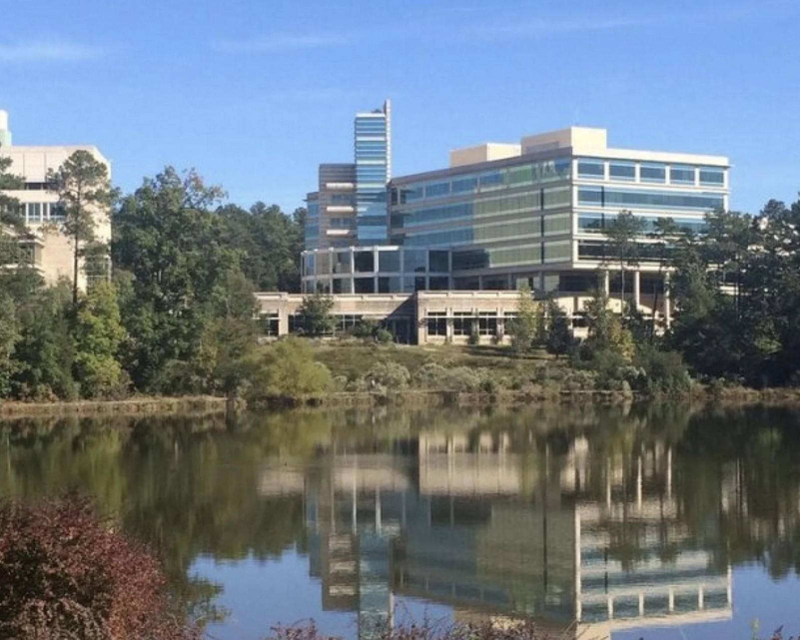 Ripple Effects Feared from Potential EPA Downsizing in NC
