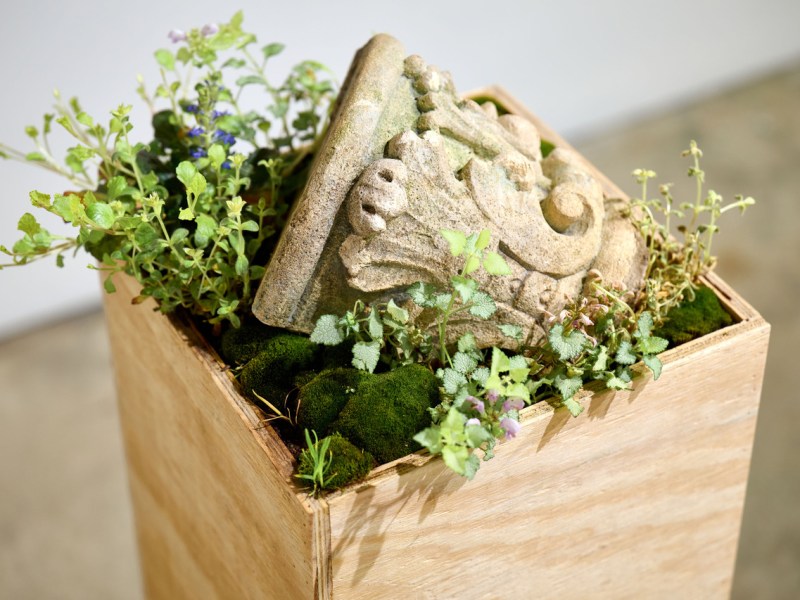 A Multi-Media Exhibit Reflecting on Place and Memory Uses Artifacts from Durham’s Past