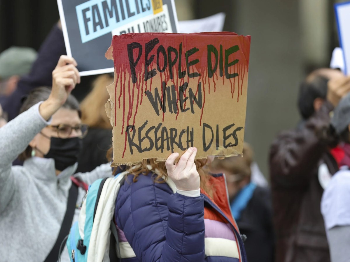 Federal Funding Cuts May Drive Triangle-Area Dems to the Polls in 2026